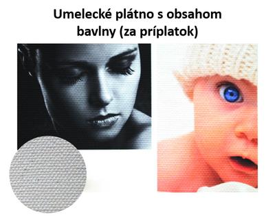 Fotoobraz na plátne z vašich fotografií