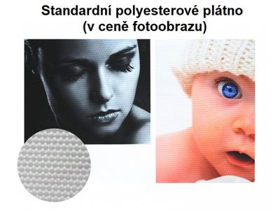 Fotoobraz KLASIK vícedílný