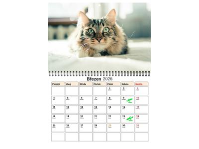 Kalendáře s vlastními fotkami